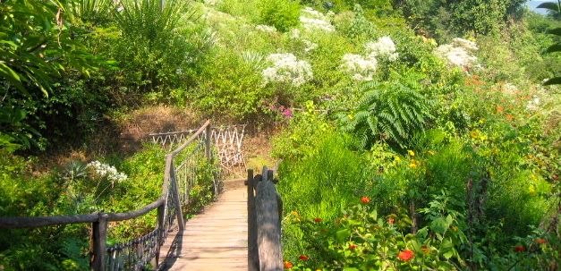 botanic_garden_01